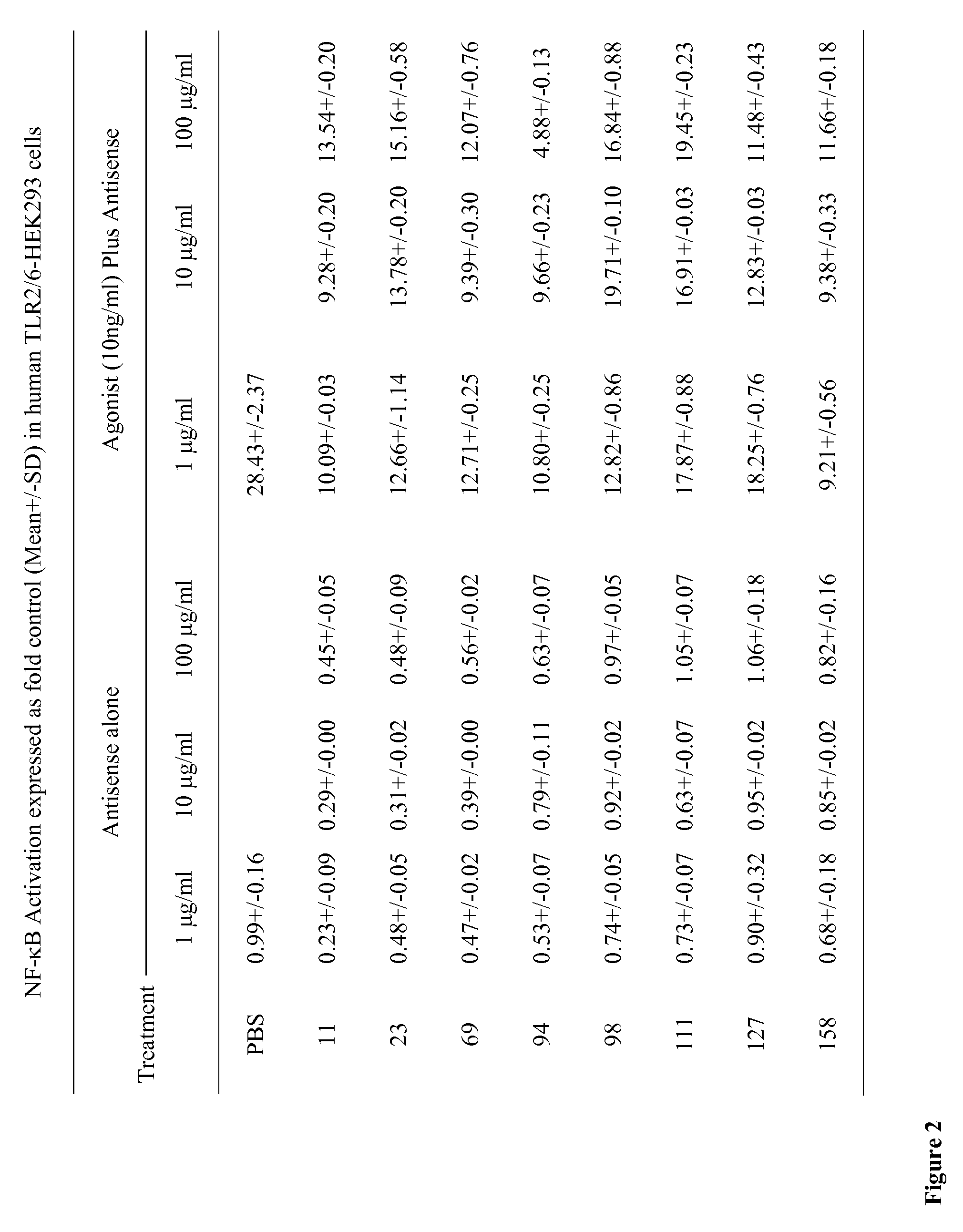 Modulation of Toll-Like Receptor 2 Expression By Antisense Oligonucleotides