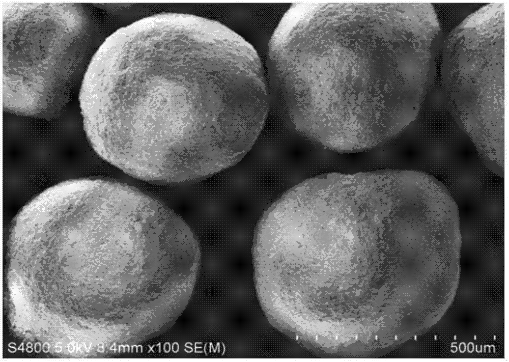 Method for preparing different particle sizes of porous beta-TCP microspheres by oil-in-water type solid emulsification