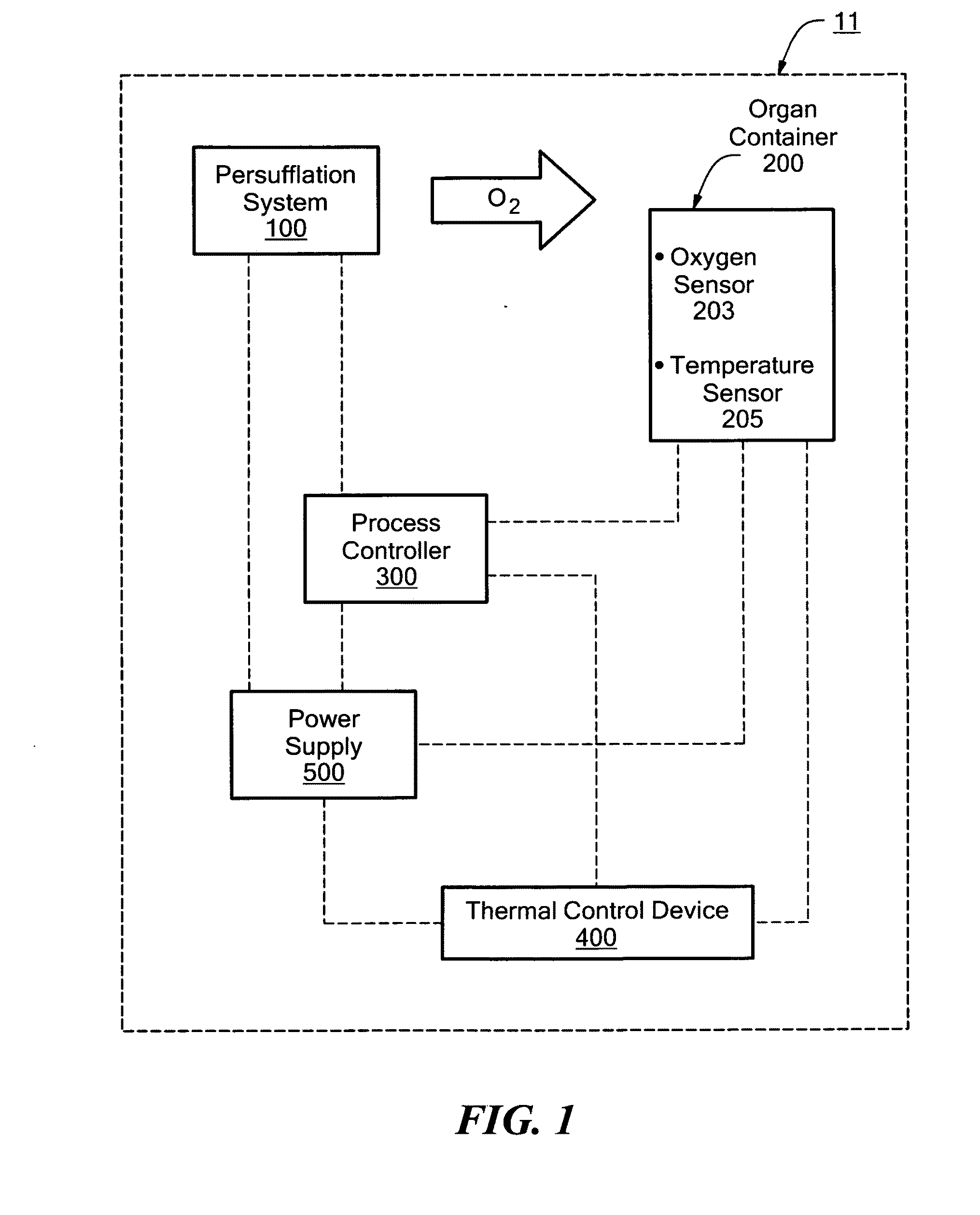 Perfusing an organ with an in situ generated gas