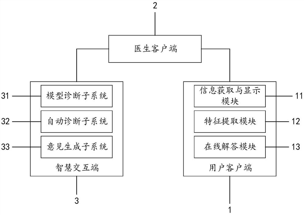 Large health medical disease auxiliary diagnosis system and method based on intelligent terminal