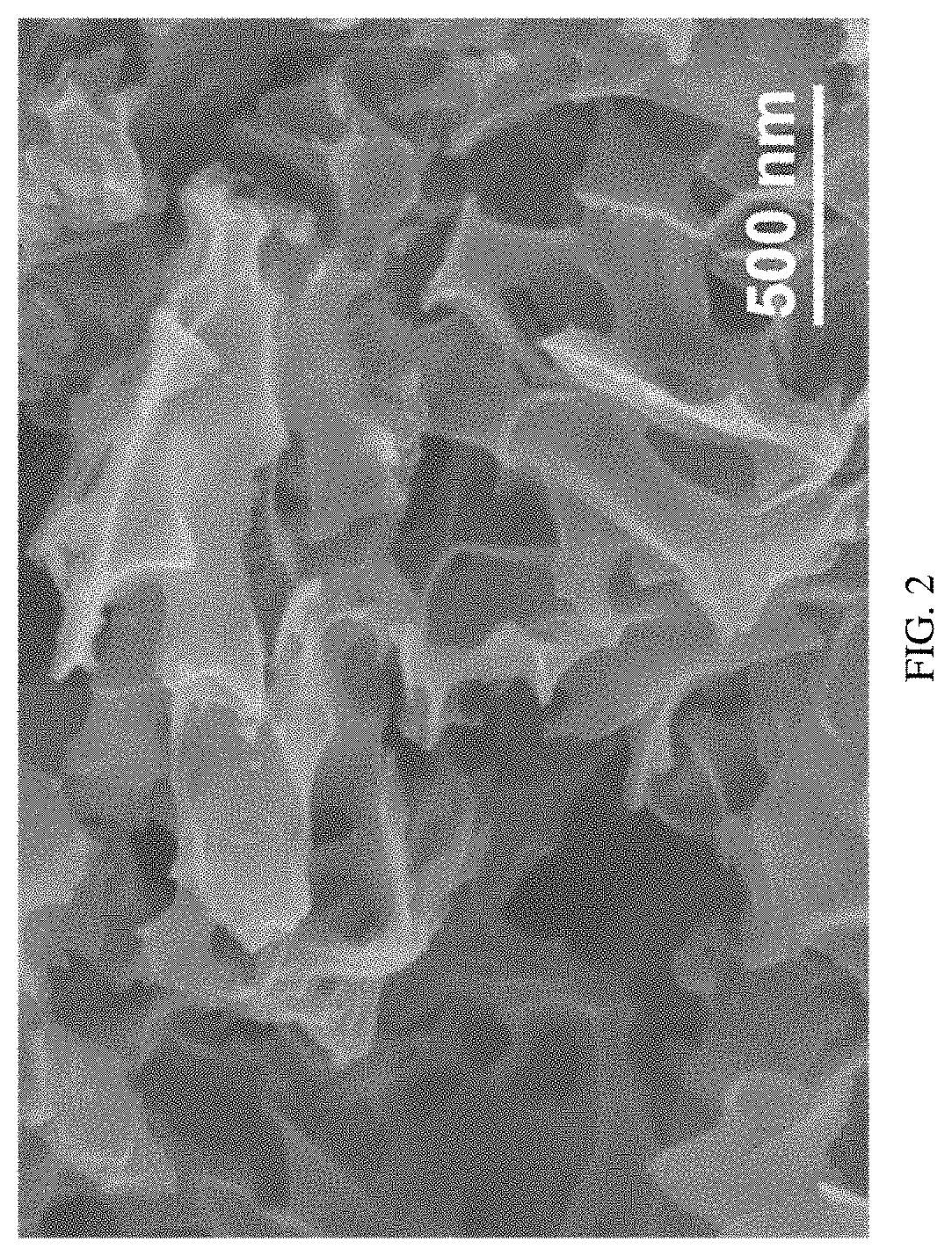 Preparation method of nitrogen-doped hierarchical-porous carbon-loaded nanometer pd catalyst and product and application thereof