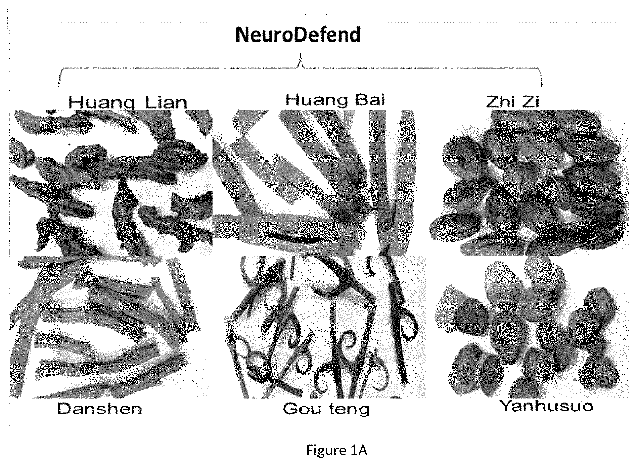 Uses and development of neurodefend for treating neurodegenerative diseases