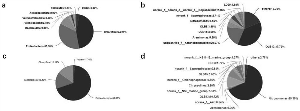 Short-cut nitrification granular sludge applied to high-salt and high-ammonia-nitrogen wastewater treatment and culture method