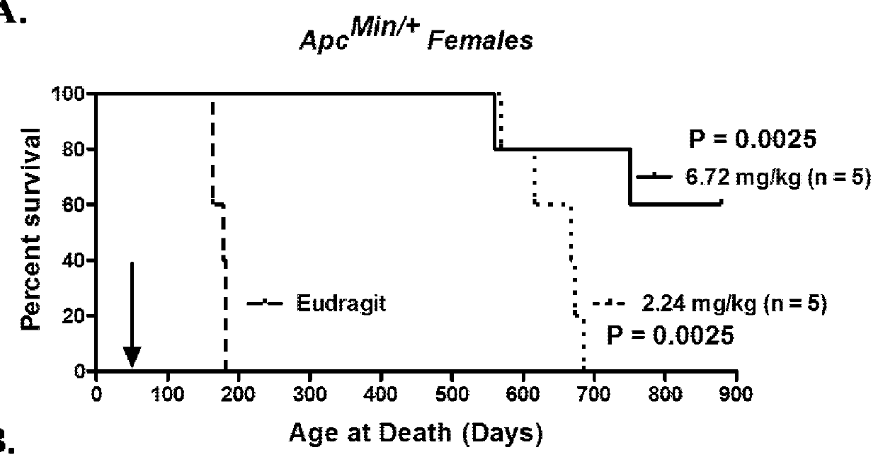 Use of mtor inhibitors for prevention of intestinal polyp growth and cancer