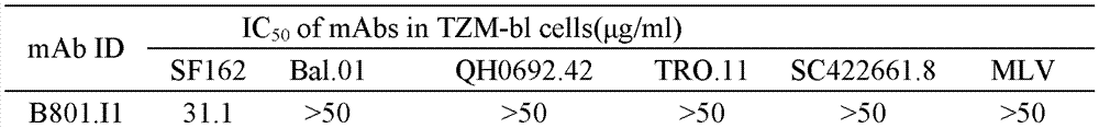 HIV-1 Env-specific fully human monoclonal antibody