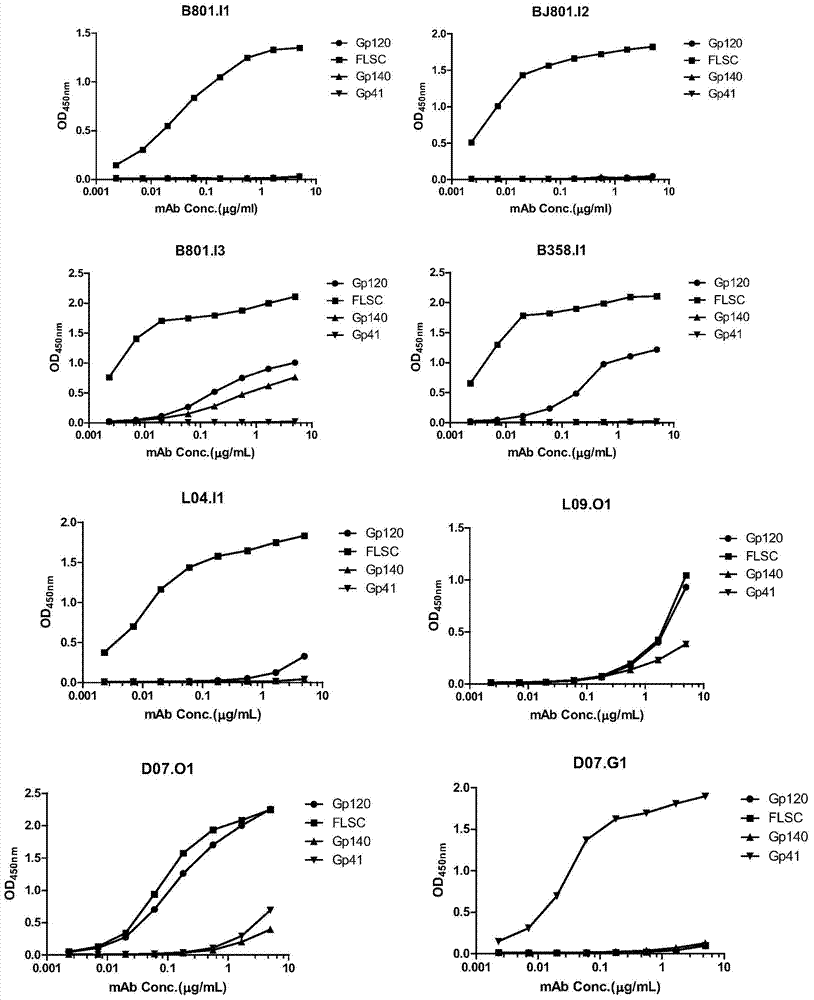 HIV-1 Env-specific fully human monoclonal antibody