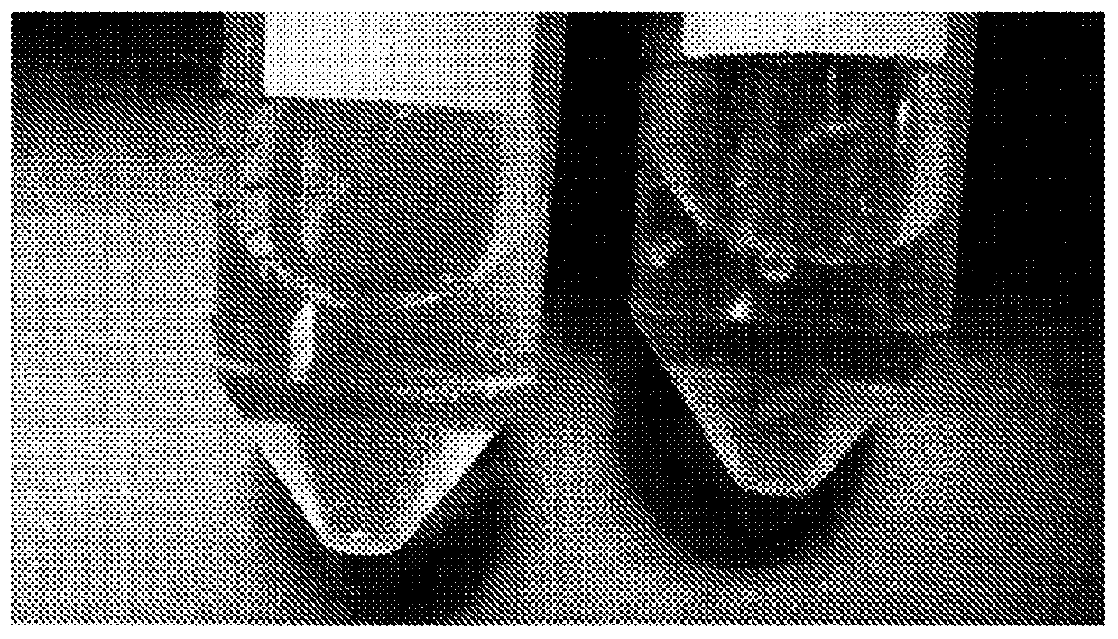 protein retention extension microscopy