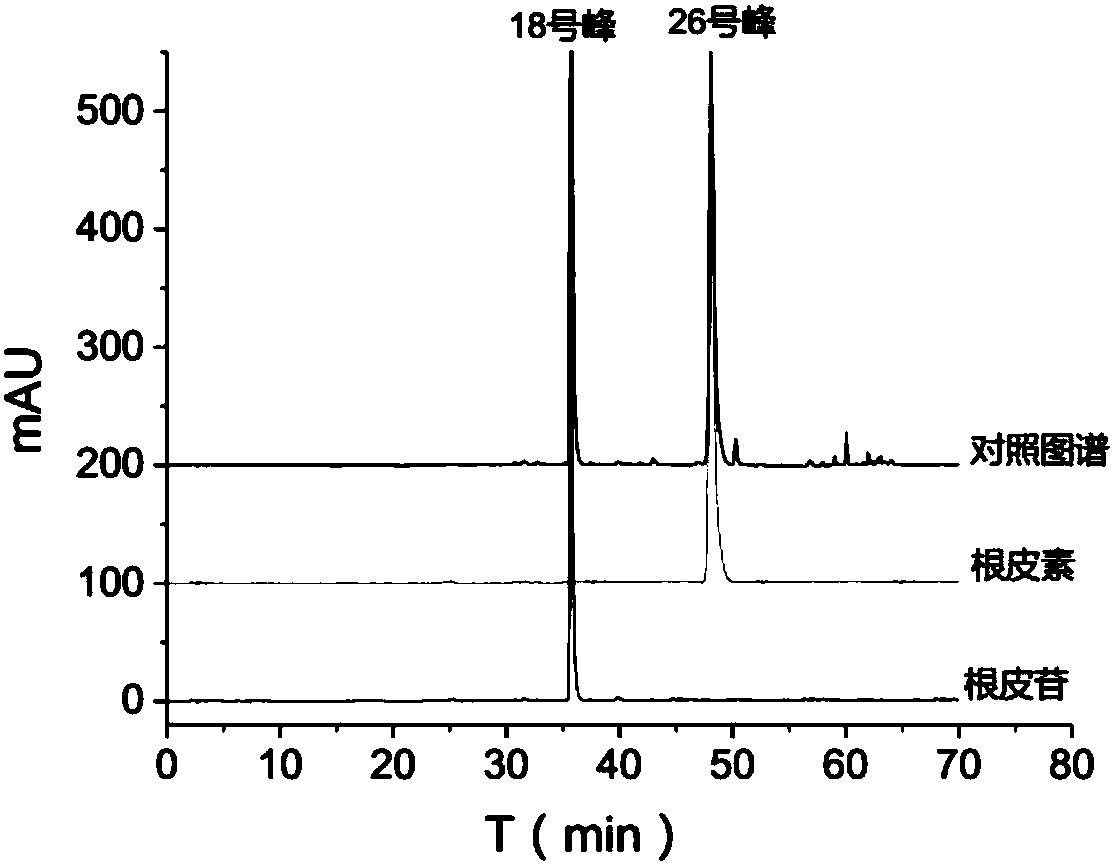 Microbial transformation and application of eurotium cristatum on chemical components of Docynia indica(Wall.)Dcne leaves