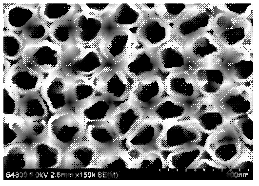 Composite photoelectric catalyst as well as preparation and applications