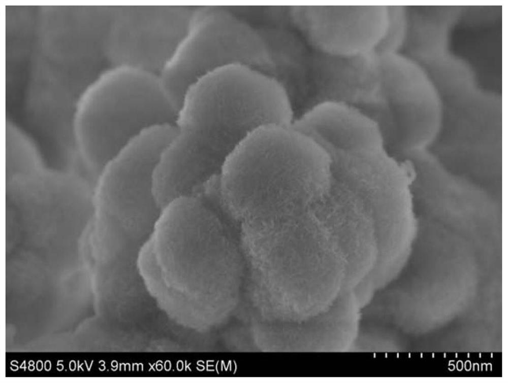 Reaction catalyst for preparing gamma-butyrolactone through maleic anhydride hydrogenation, and preparation method and application thereof