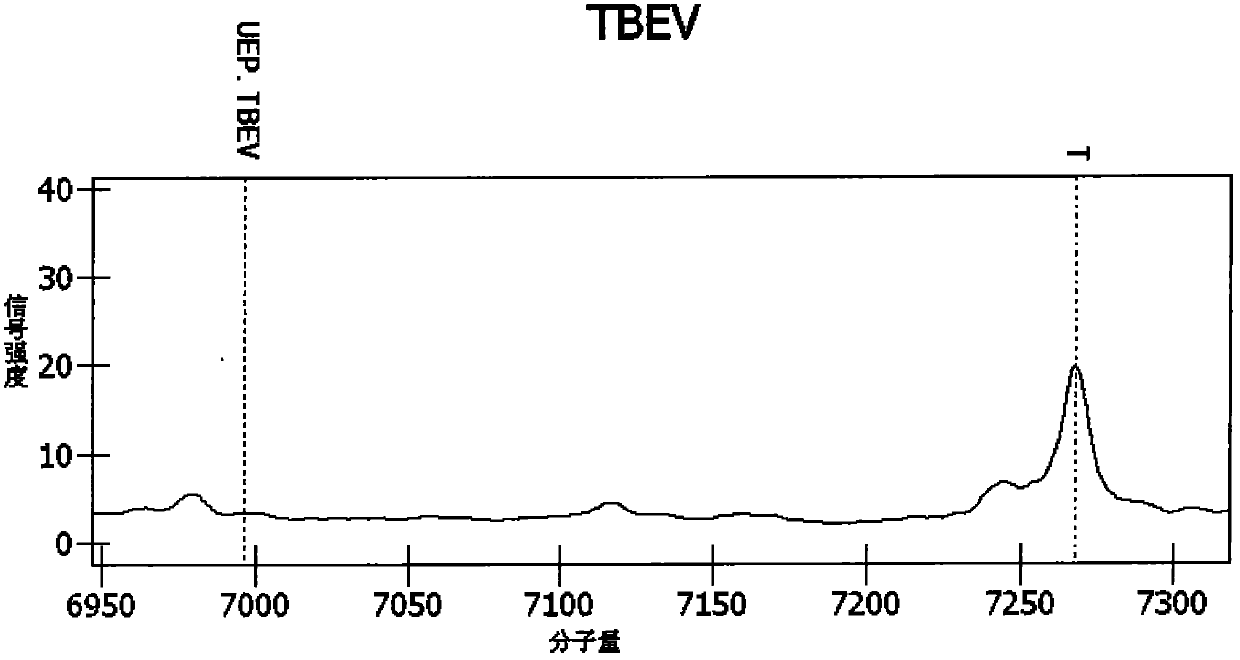 Novel technology for detecting viruses of arbovirus encephalitis