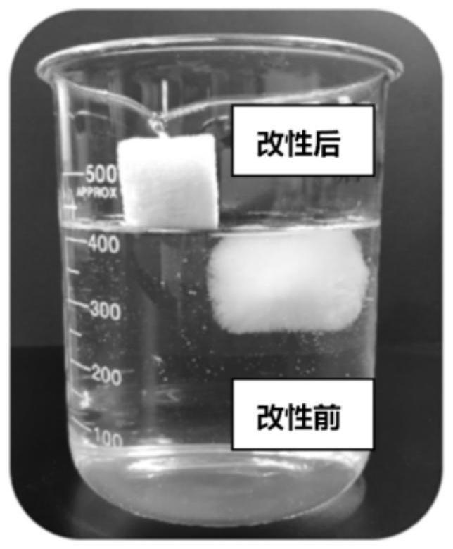 Multifunctional bioprotein-based aerogel material as well as preparation method and application thereof