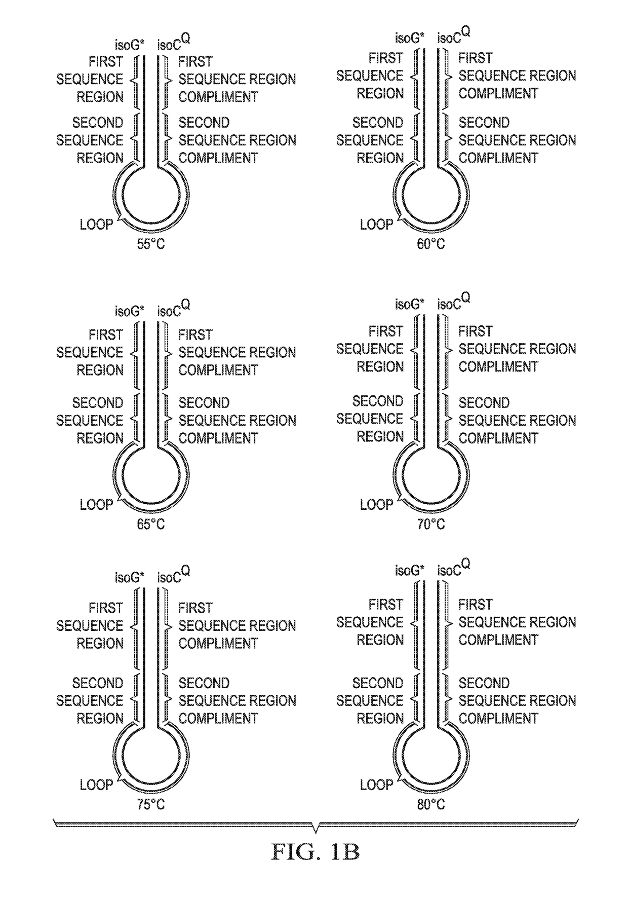 Probes for improved melt discrimination and multiplexing in nucleic acid assays