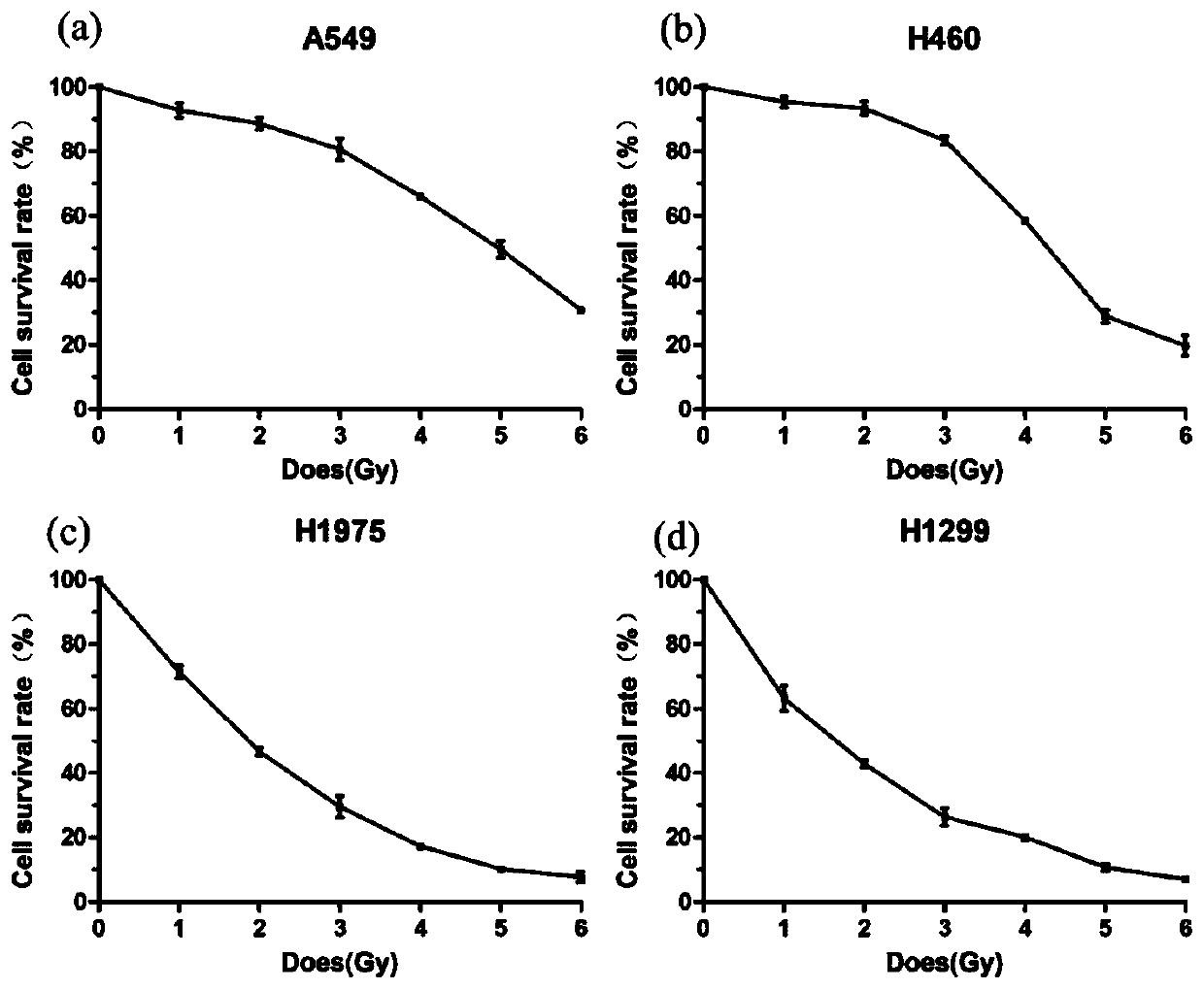 Application of long-chain non-coding RNA lncLCIR-1 as lung cancer molecular marker