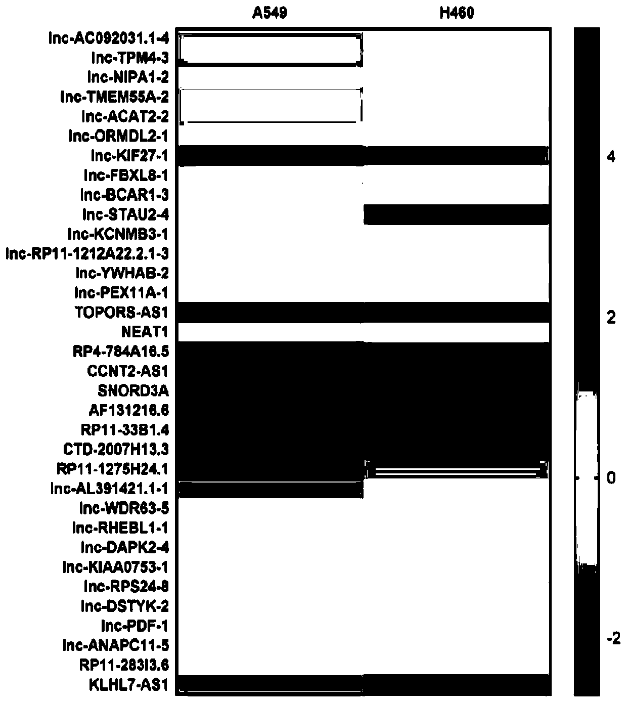 Application of long-chain non-coding RNA lncLCIR-1 as lung cancer molecular marker