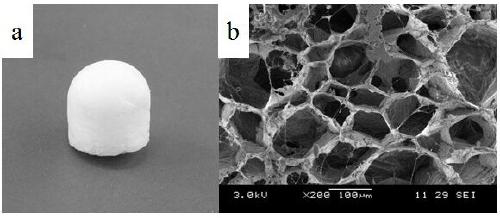 A kind of preparation method of nanocellulose/polymer composite aerogel