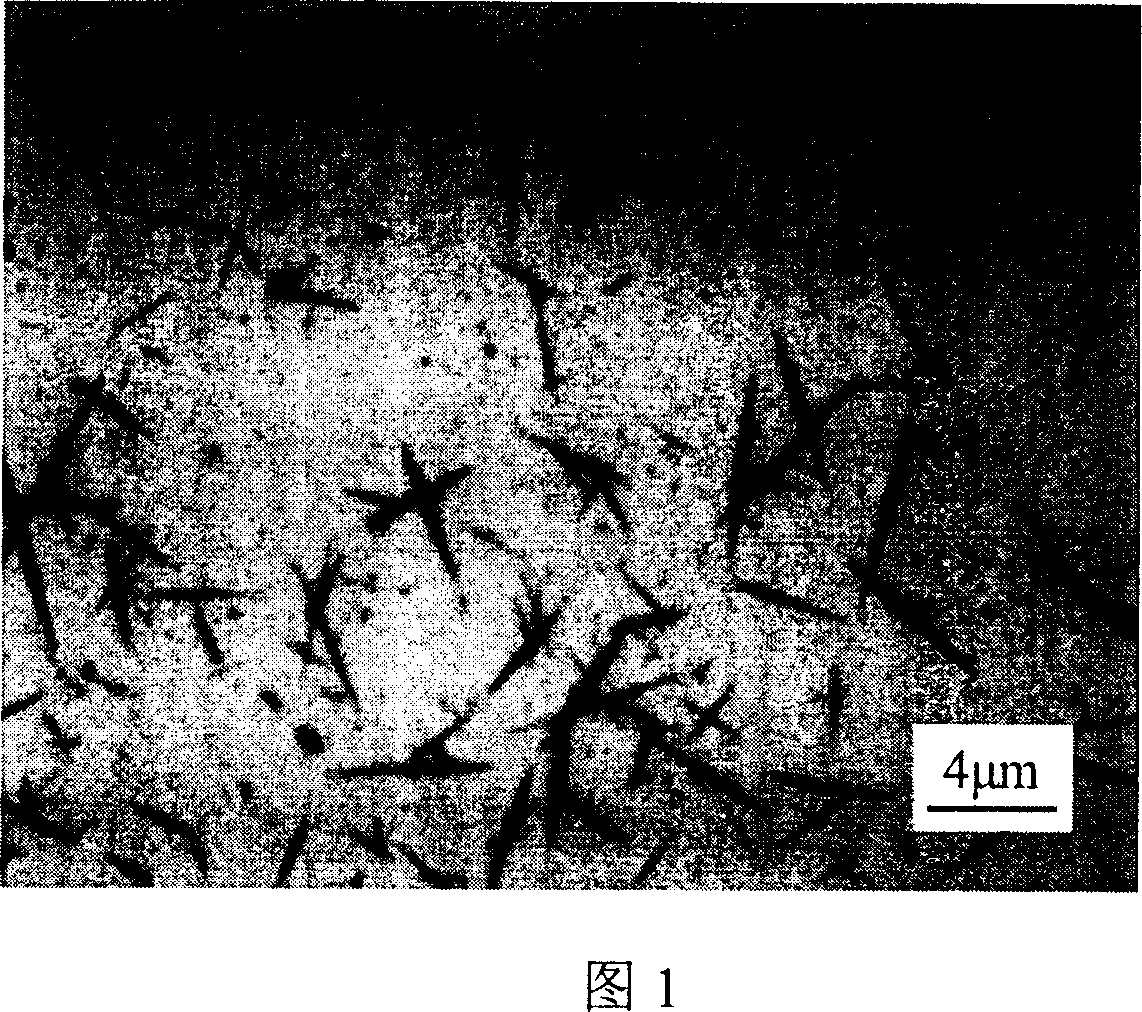 Immobilized enzyme biological catalyst, preparation method and application