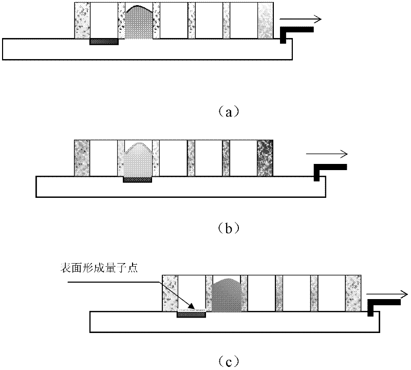 Rheotaxial preparation method of gallium antimonide quantum dot