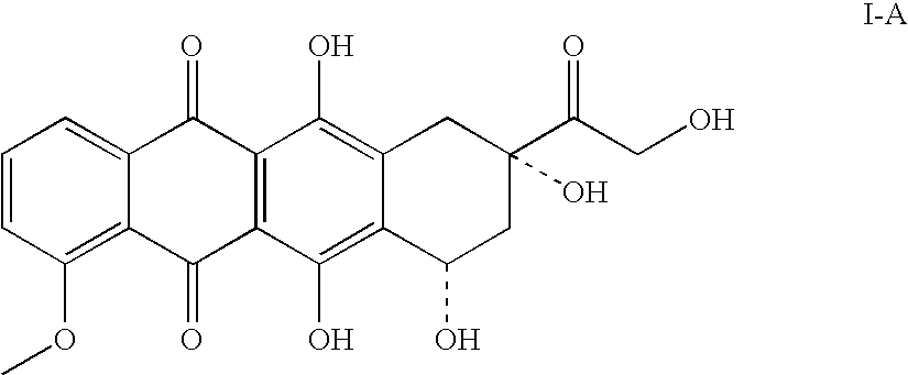 Doxorubicin immunoassay