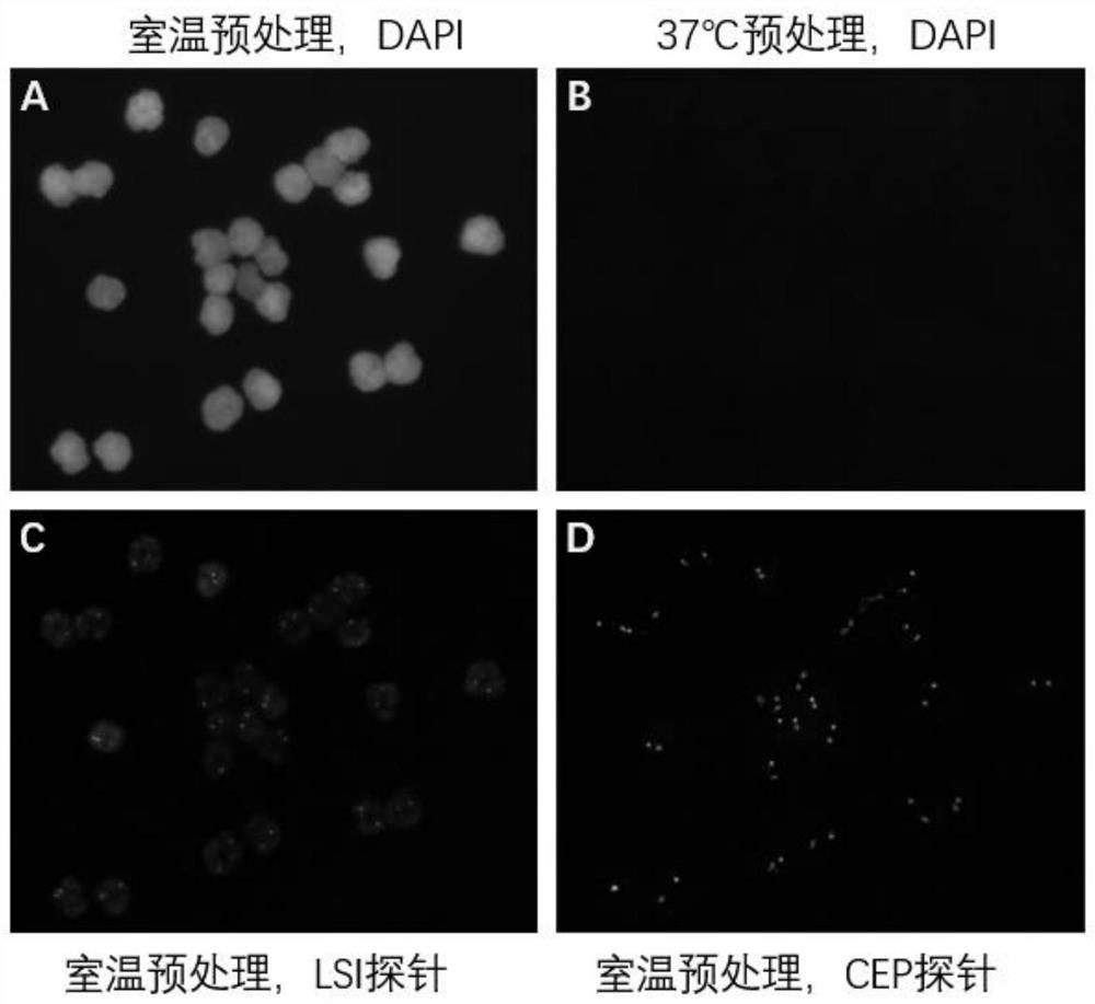 Pretreatment solution, kit and pretreatment method for fluorescence in situ hybridization of cell samples