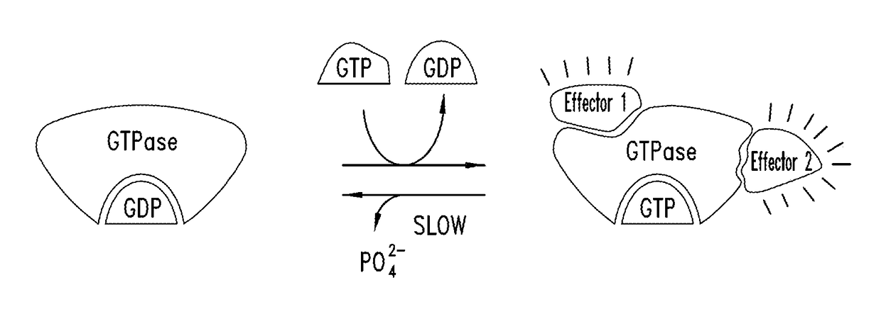 Inhibitors of kras g12c mutant proteins