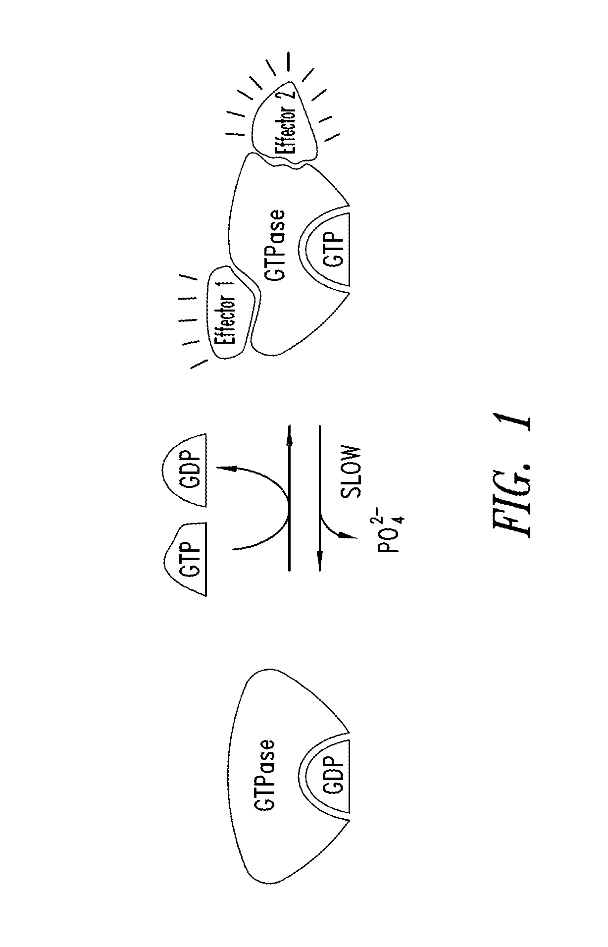 Inhibitors of kras g12c mutant proteins