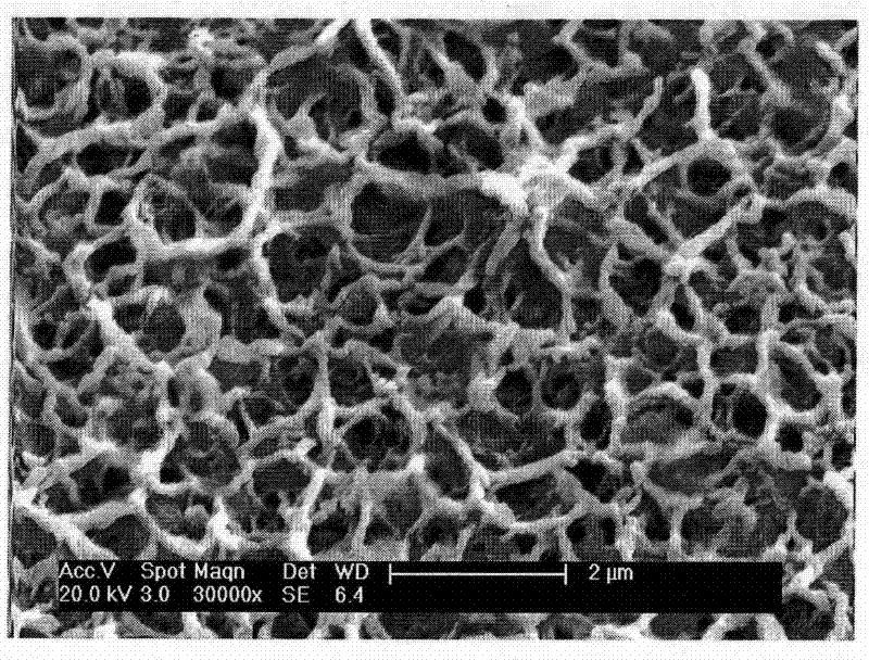 Bioactive artificial tooth root capable of slowly releasing rare-earth element cerium