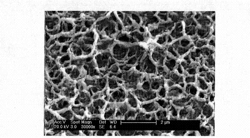 Bioactive artificial tooth root capable of slowly releasing rare-earth element cerium