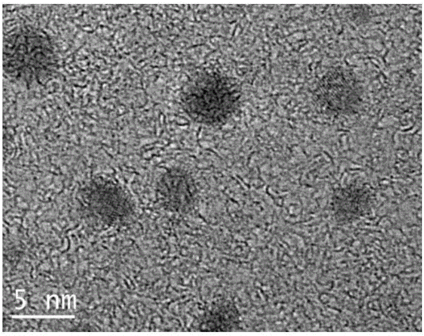 Preparation method of fluorescent carbon quantum dots employing algae as carbon sources and application