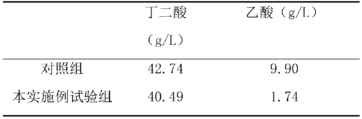 Method for reducing proportion of succinic acid fermentation by-products of actinobacillus succinogenes