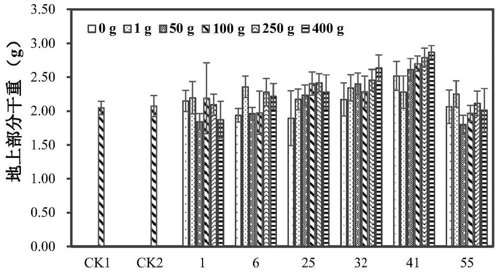 A plant probiotic group constructed by beneficial bacteria mutants and its application