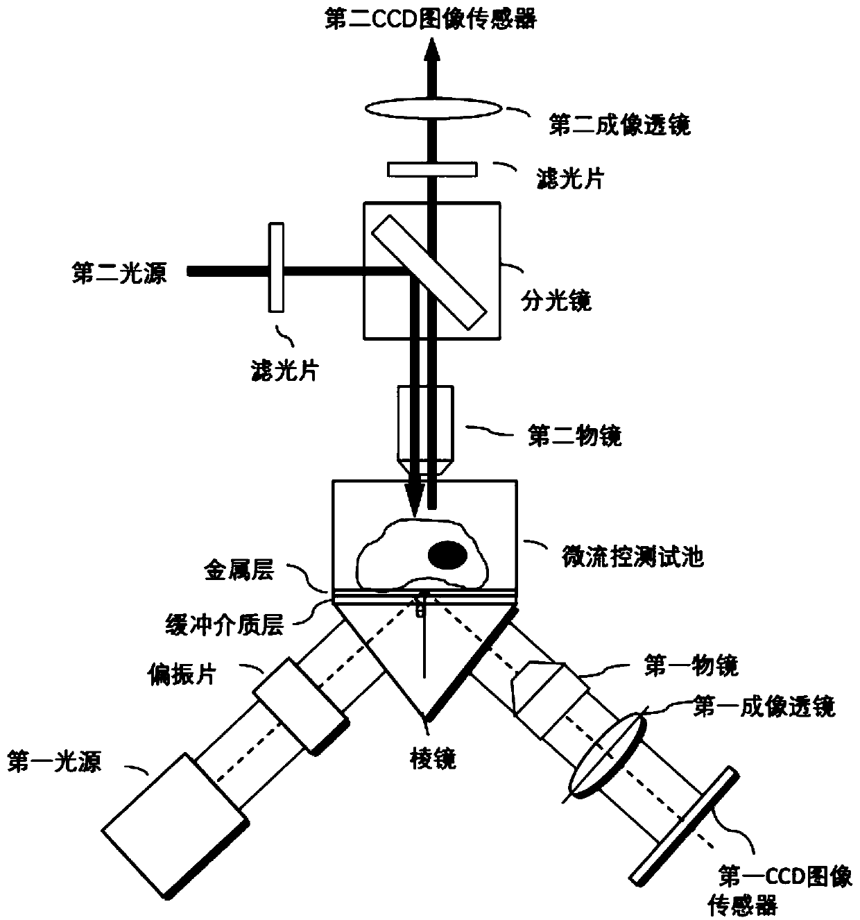 LRSPR-fluorescence imaging parallel detection device and LRSPR chip manufacturing method