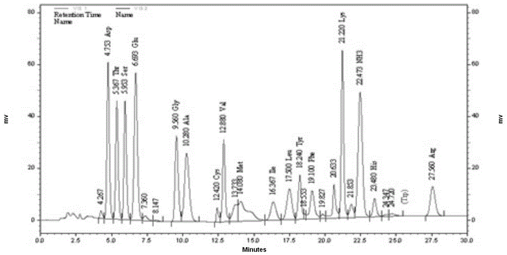 Method for preparing antioxidative peptide through fermentation of cordyceps militaris nanoparticles