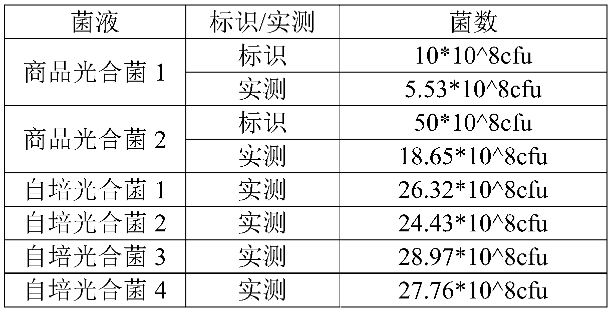 Preparation method of photosynthetic bacterial liquid