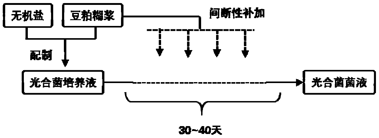 Preparation method of photosynthetic bacterial liquid