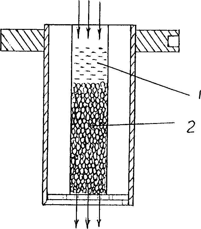 Process for preparing foam magnesium