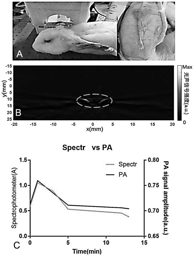 A device for non-invasive detection of indocyanine green content in the body