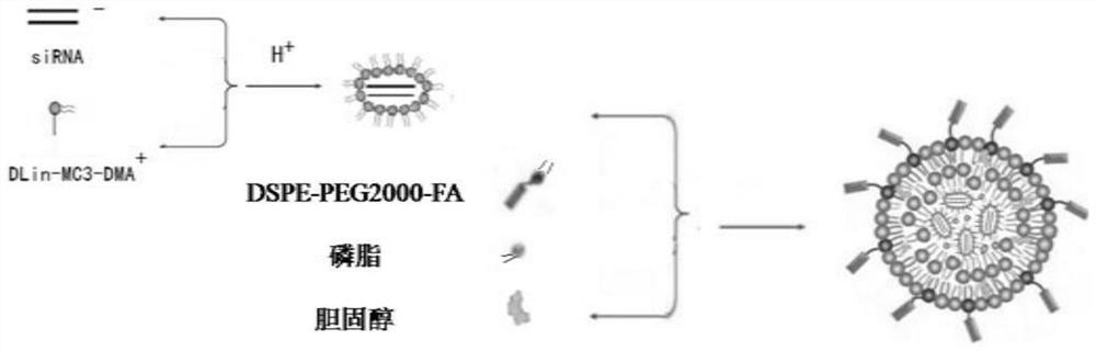 SiRNA-loaded nano-liposome hybrid micelle and preparation method and application thereof