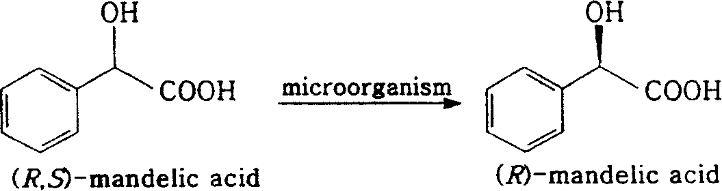 Process for preparing (R)-mandelic acid by microbial asymmetric resolution