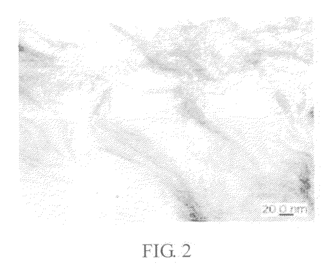 Manufacturing method of organic modifer-free exfoliated nano clay-polymer composite