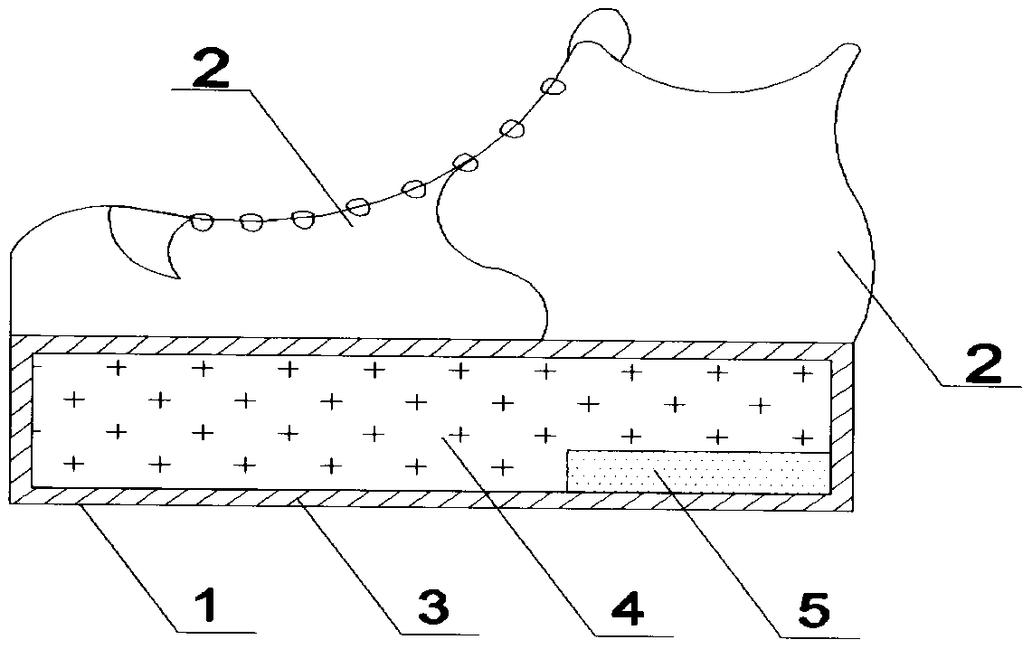 Physiotherapy shoe for arch of foot