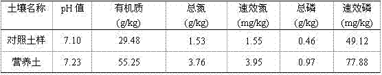 Composite fertilizer-keeping nutrient soil prepared from biogas residues and biogas liquids and preparation method thereof