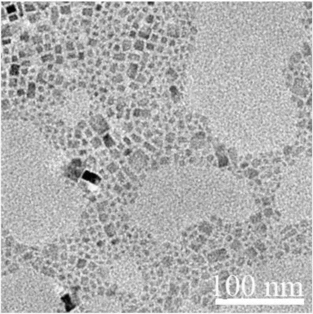 Preparation method of nanocrystal containing manganese and fluoride compounds