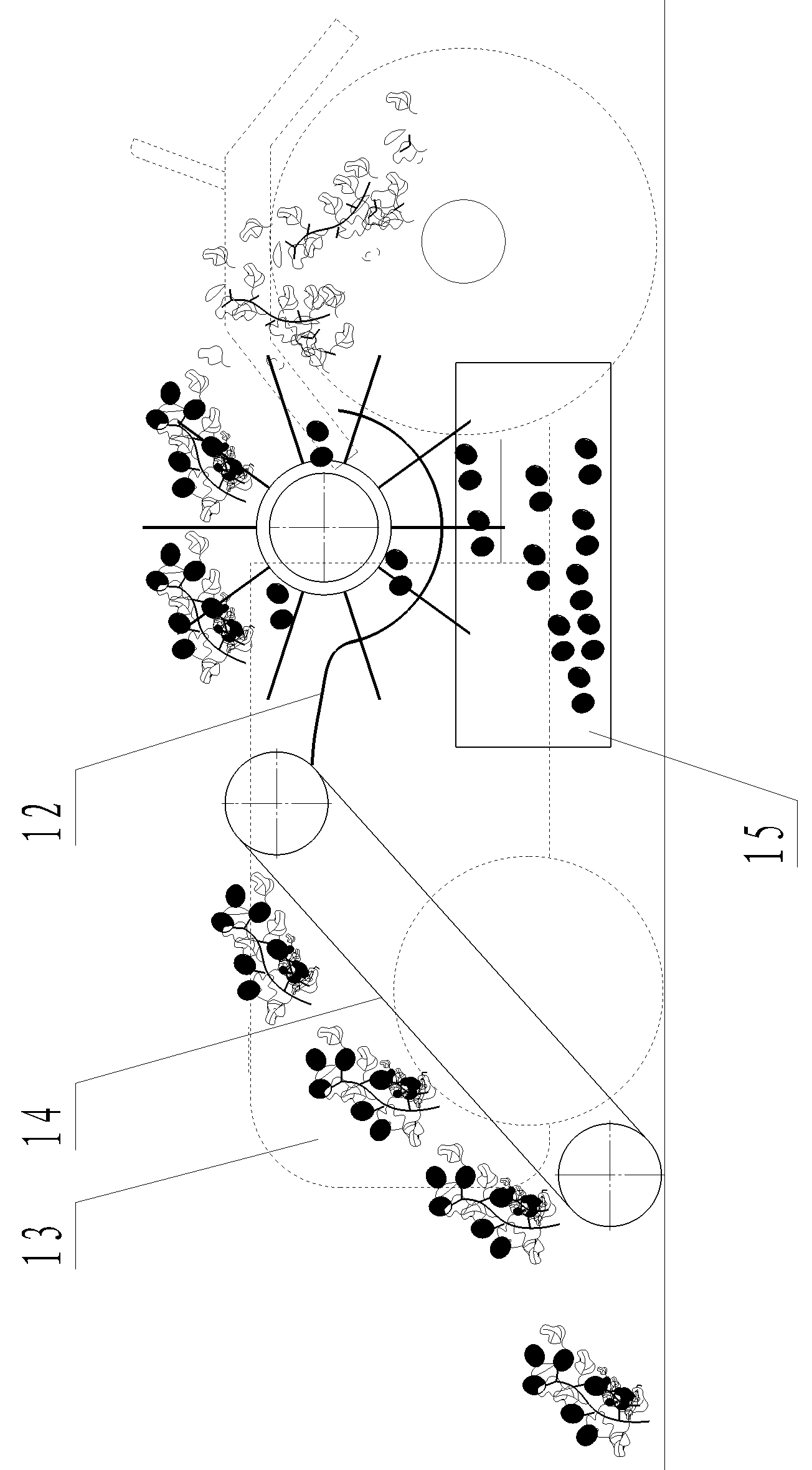 Tomato harvesting and separating device and tomato harvester using same