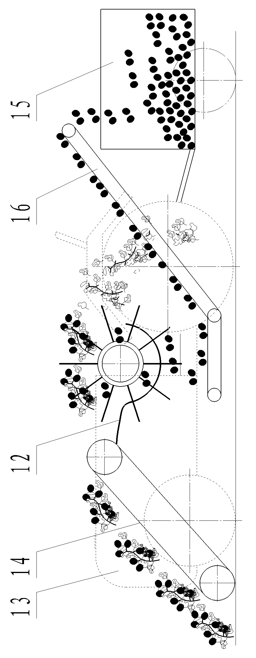 Tomato harvesting and separating device and tomato harvester using same