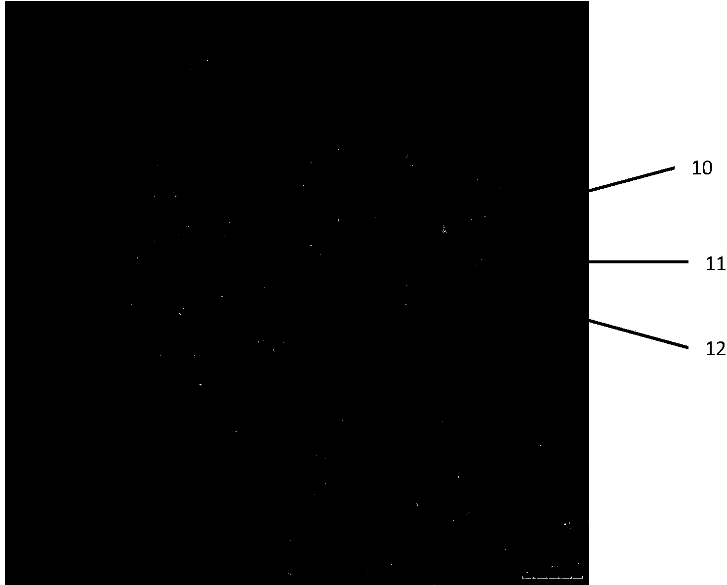 Gene medicine delivery system and preparation method