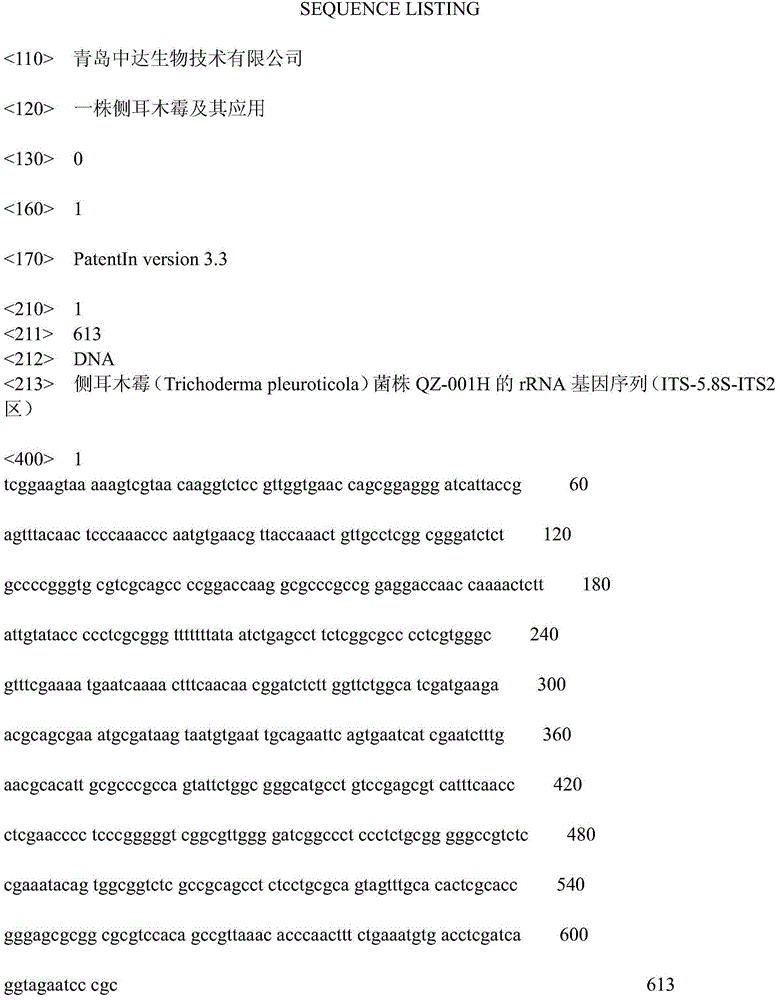 Trichoderma pleuroticola and application thereof