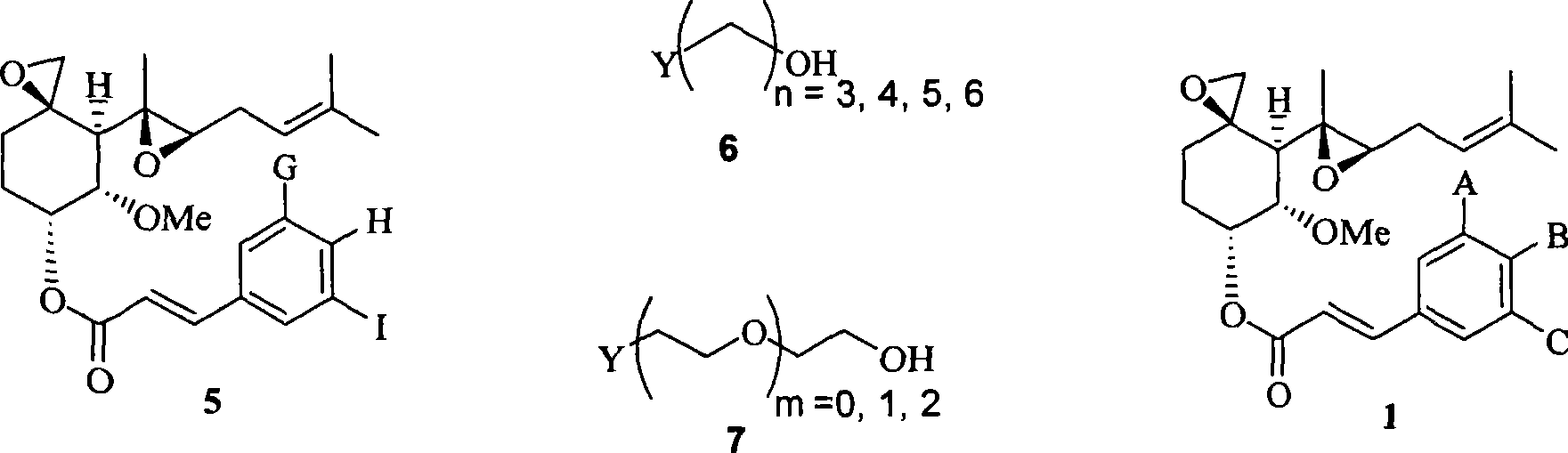 Fumagillol derivatives or method for preparation of fumagillol derivatives, and pharmaceutical compositions comprising the same