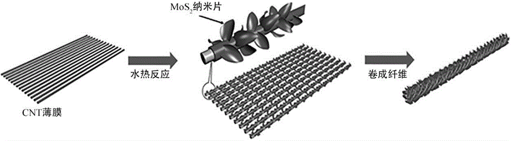 Aligned carbon nano tube/molybdenum disulfide composite fiber and preparation method and application thereof