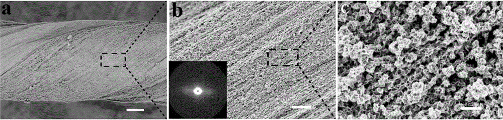 Aligned carbon nano tube/molybdenum disulfide composite fiber and preparation method and application thereof